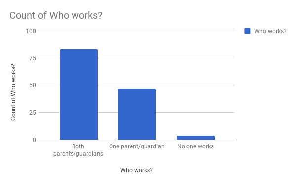 Income Source in the household